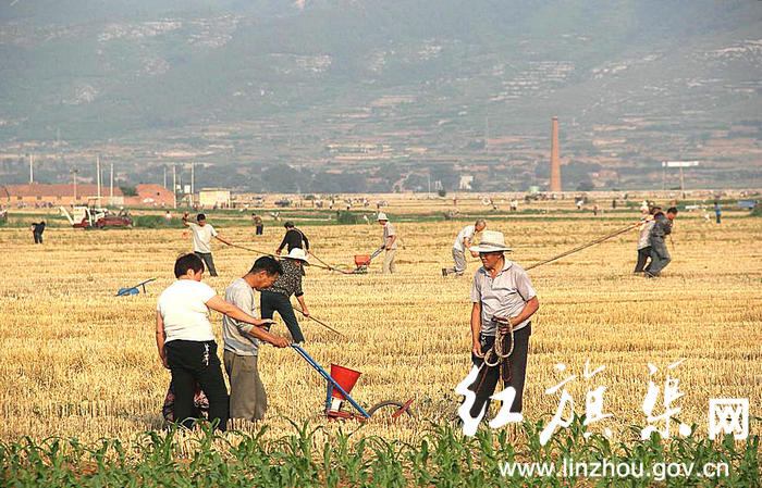 林州合涧镇小屯村人口有多少_林州科目三小屯平面图(2)